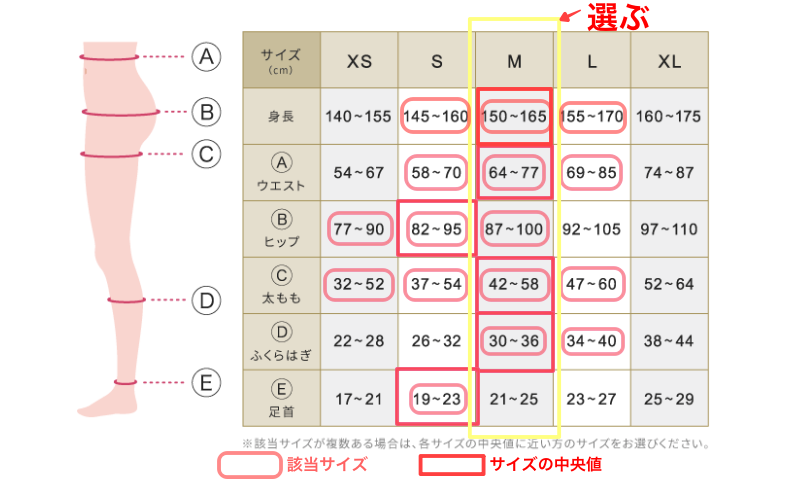 ベルシリーズ リブ　サイズ選び方